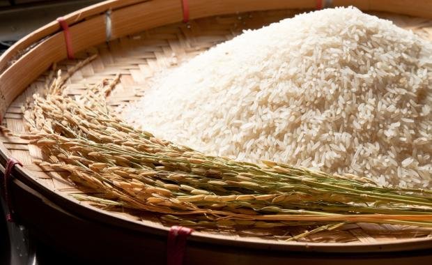 Organic Rice in Laos | Branding for International Recognition
