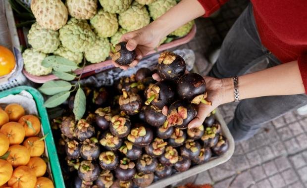 Betel Nut Traditions in Laos | Social Gatherings and Ceremonial Practices