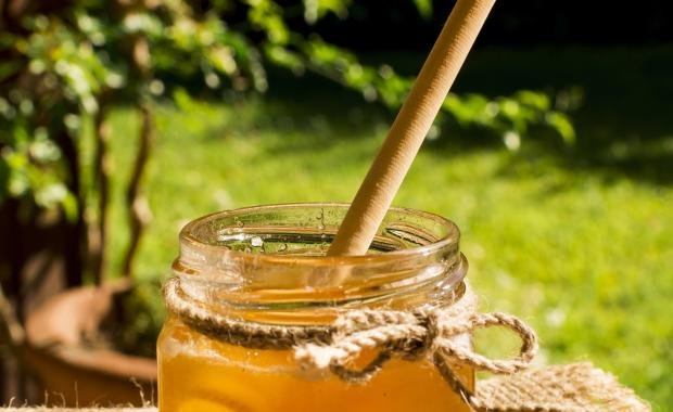 Forest Honey in Laos | Sustainable Beekeeping and Community Livelihoods