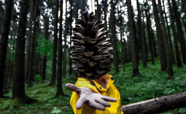 Indigenous Forest Guardianship in Laos | Tribal Practices and Conservation Wisdom