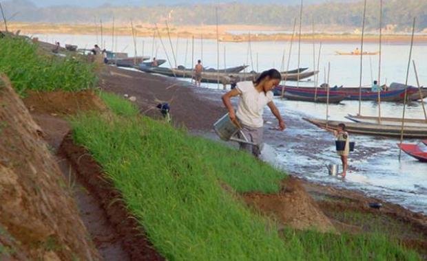 Riverbank Farming in Laos | Mekong Dry Season Agriculture