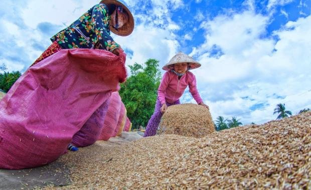 Rice Husk Energy in Laos | Turning Agricultural Waste into Renewable Power
