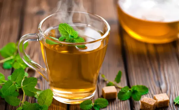 Organic Tea in Laos | Sustainable Plantations in the Northern Highlands