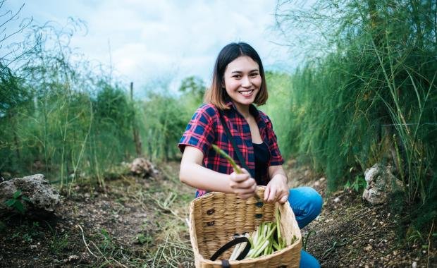 Women Entrepreneurs in Rural Laos | Changing Gender Roles and Empowerment