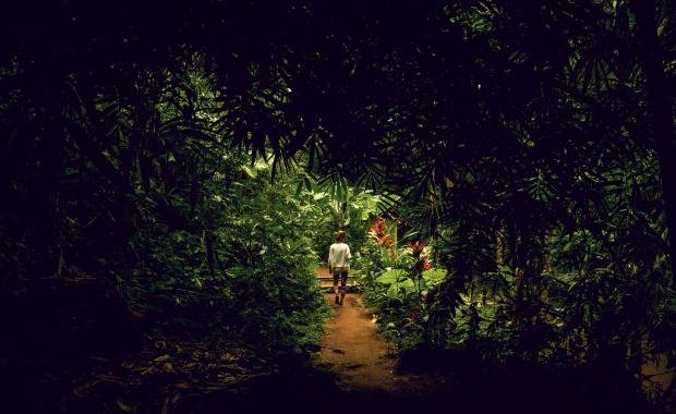 Twilight Gardens of Silent Monarchs | Forgotten Legacies in Laos